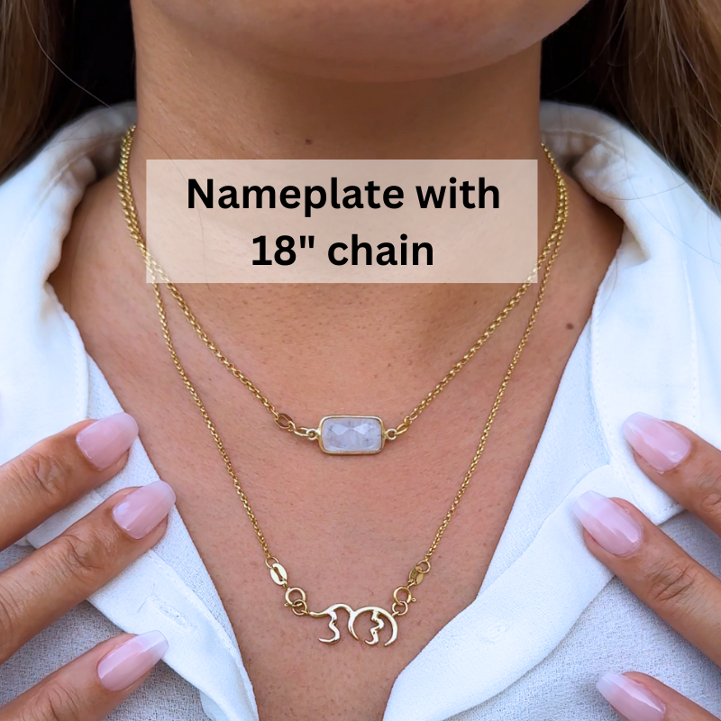 18K Solid Gold Personalized Nameplate Necklace